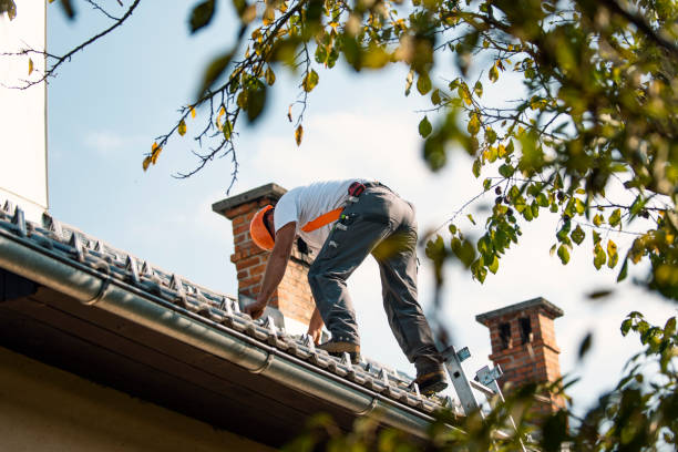 Quick and Trustworthy Emergency Roof Repair Services in Hyde Park, PA